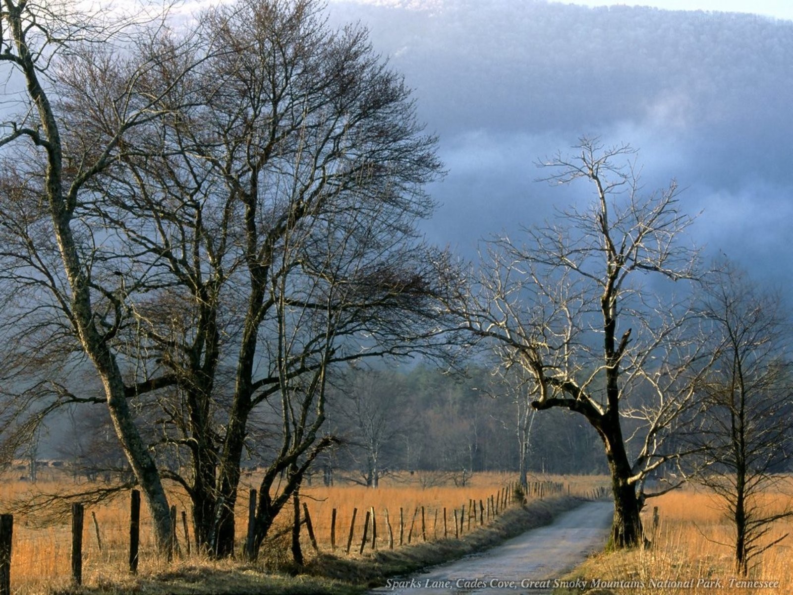 Road in Cades Cove