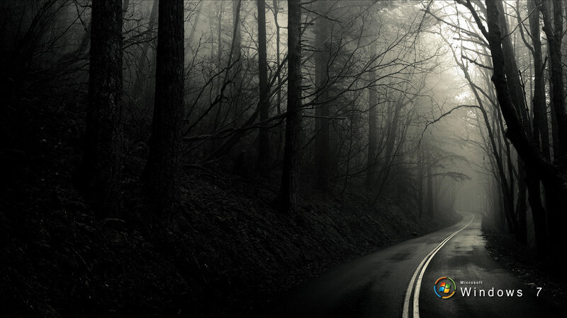 Road in Foggy Forest — Black