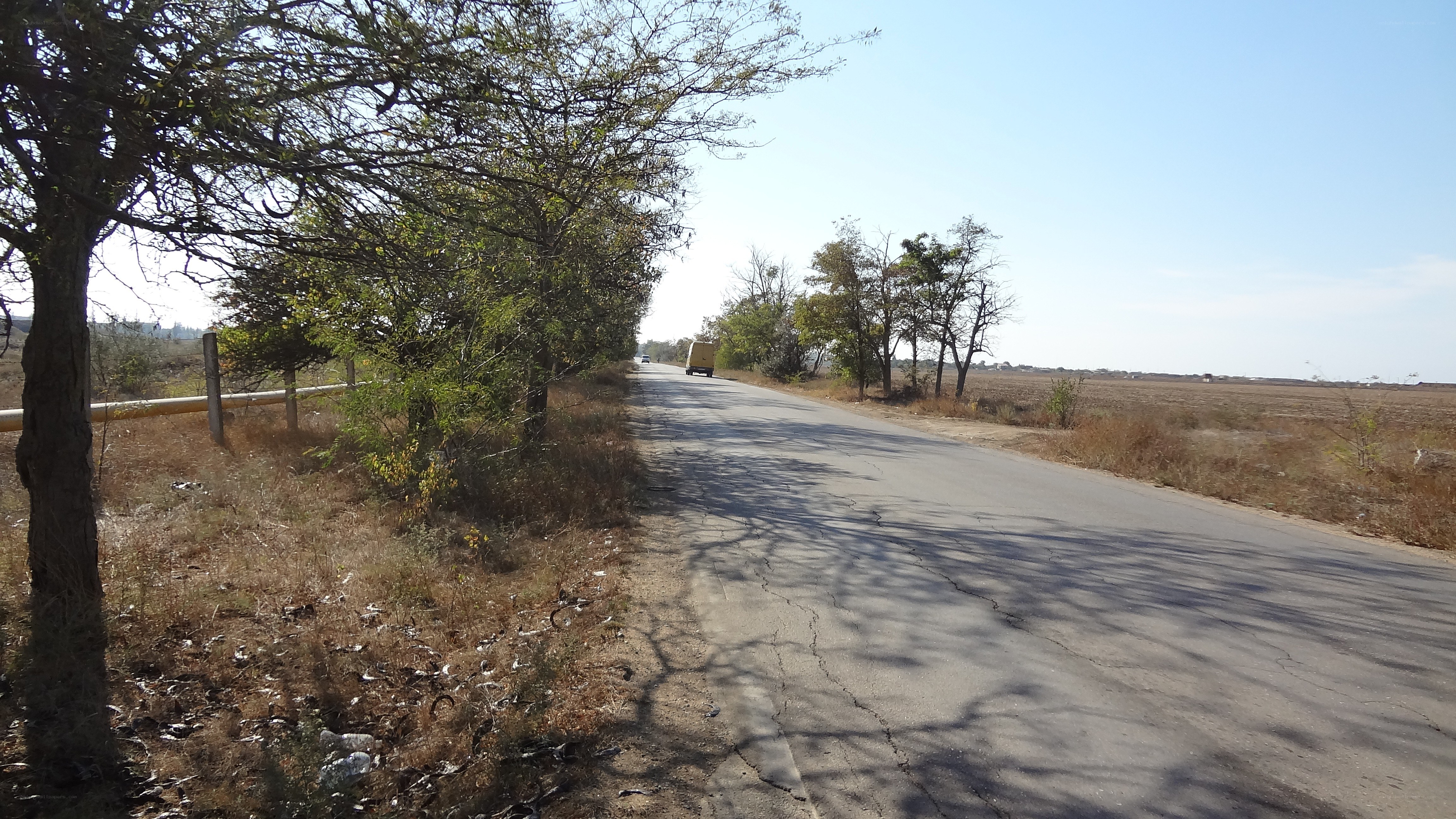 Road in rural landscape