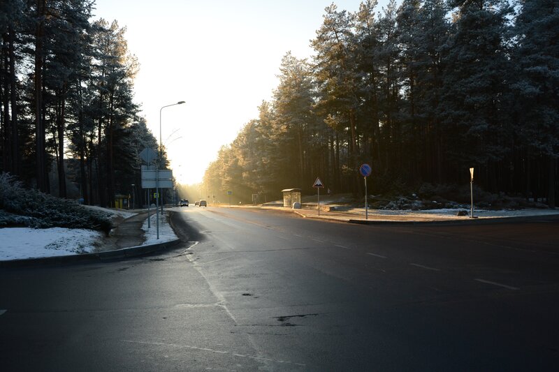 Road in Snowy Forest — Black