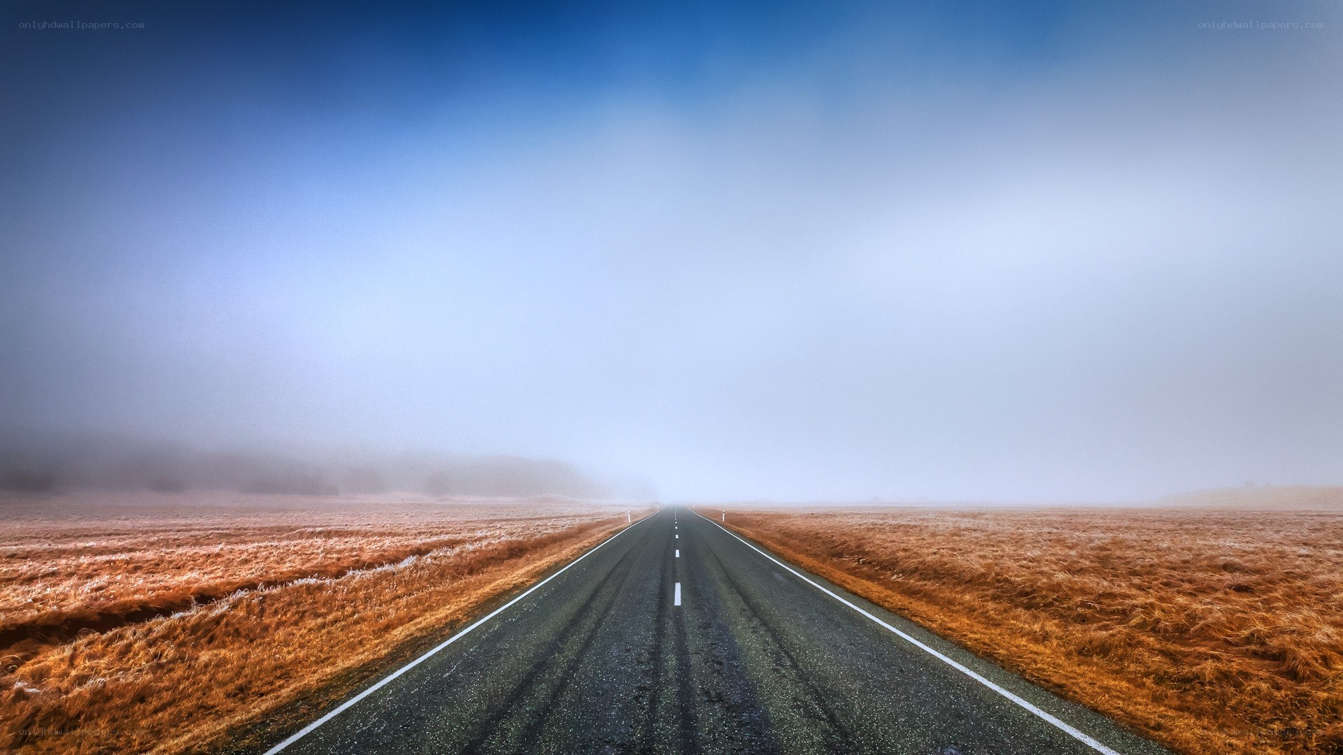 Road into the fog
