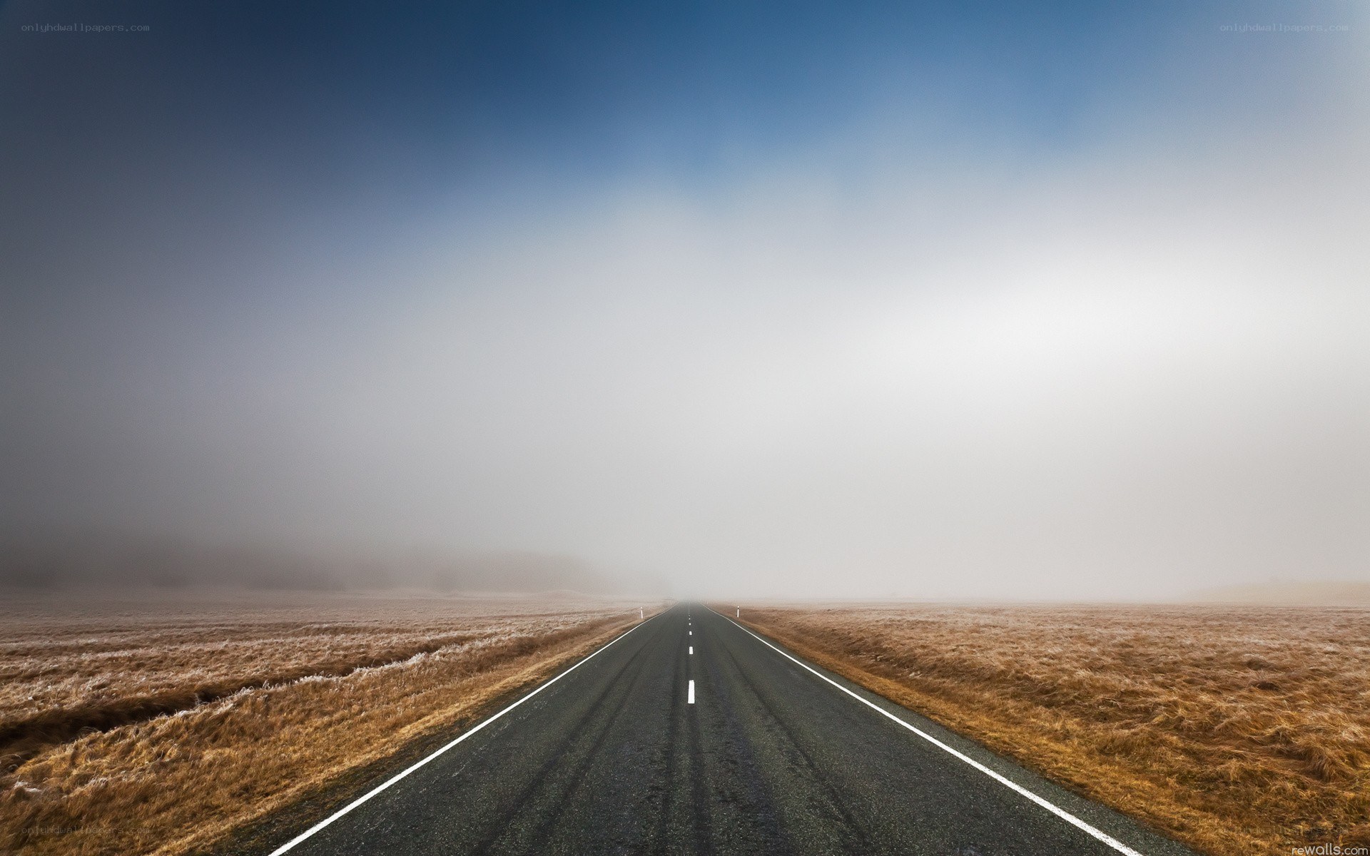 Road into the fog