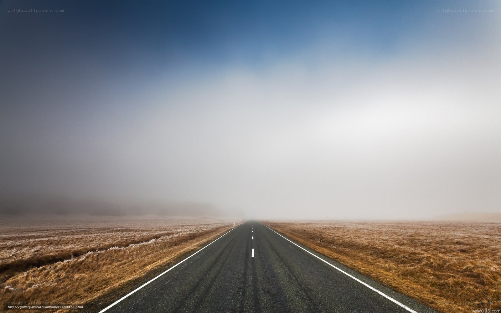 Road into the fog