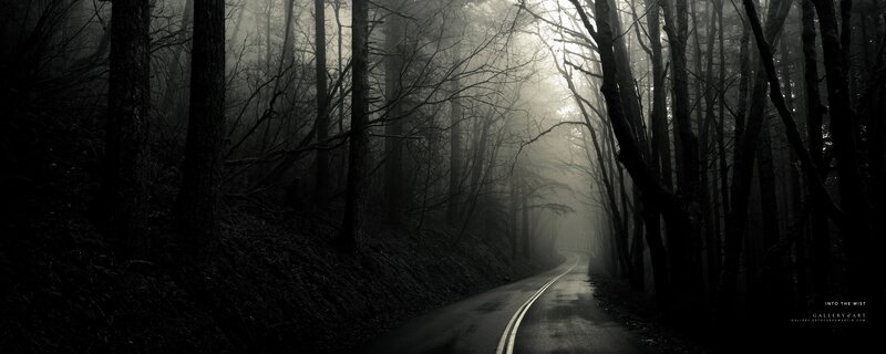 Road into the mist