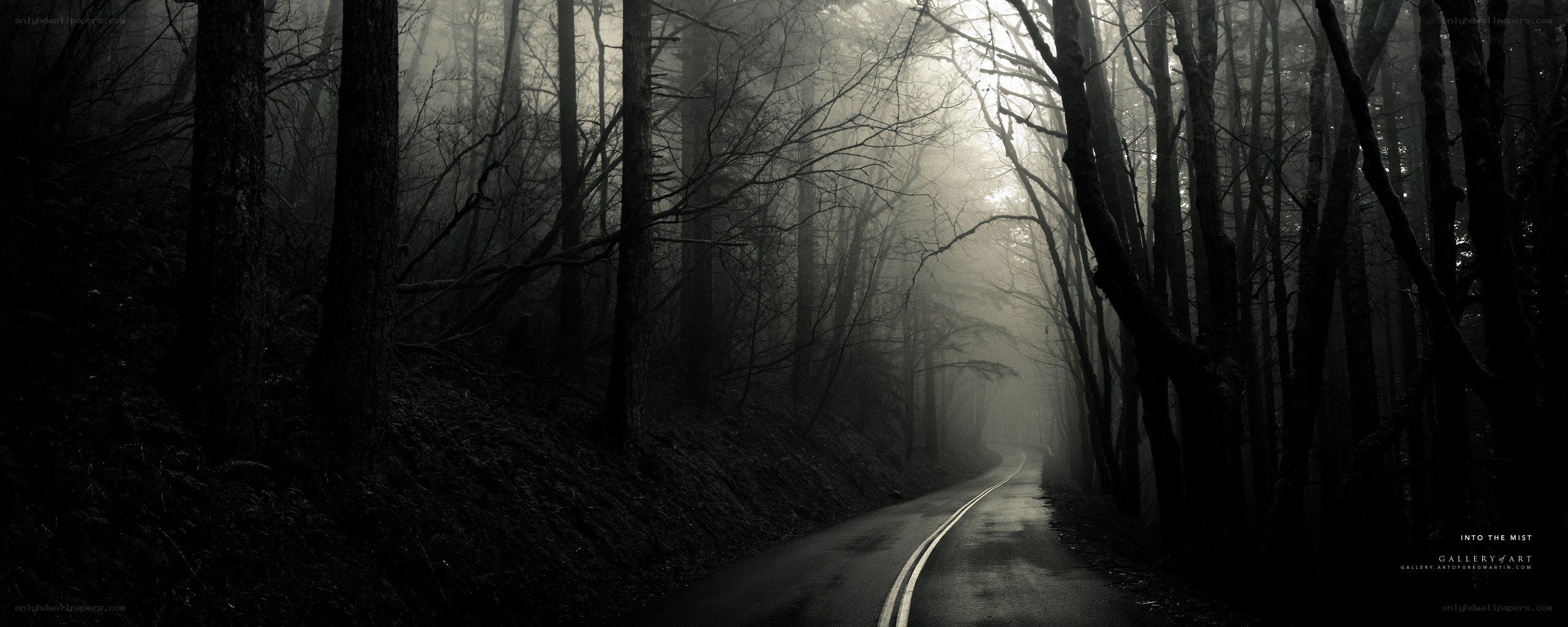 Road into the mist