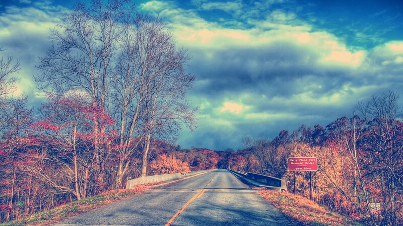 Road Leading to Bridge