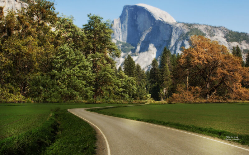 Road Leading to Half Dome — Green