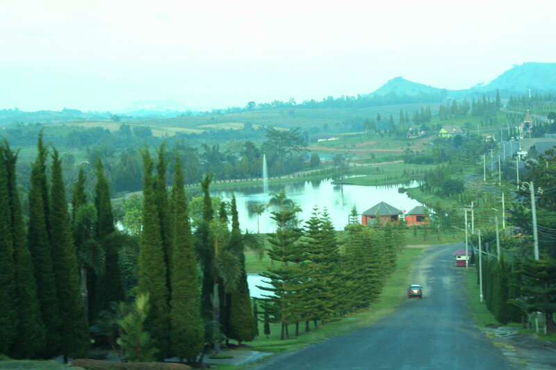 Road Leading to Lake
