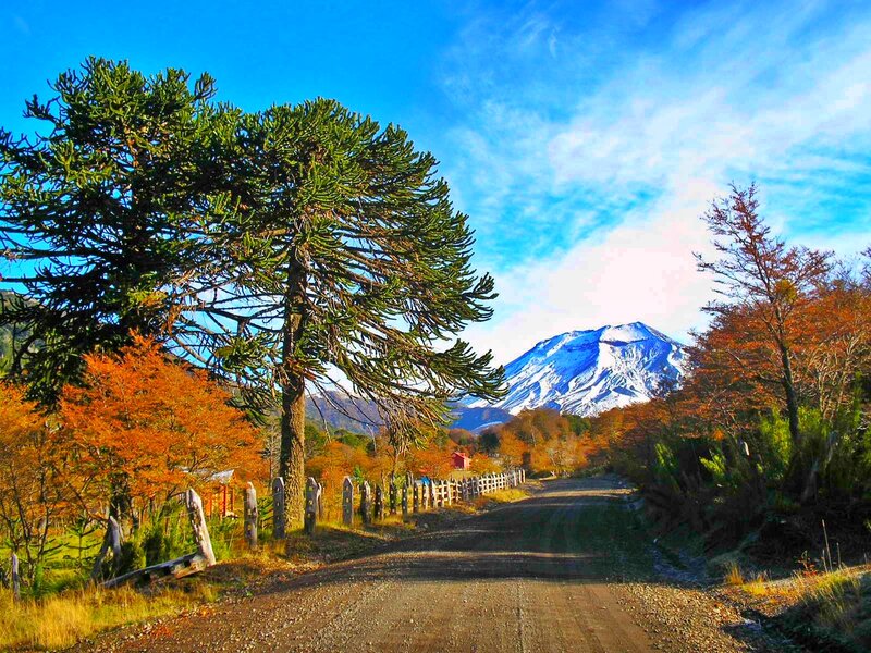 Road Leading to Mountain — Blue, Serene