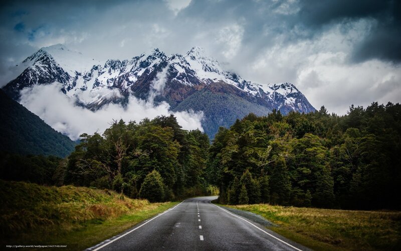 Road Leading to Mountains — Green, Dramatic, Photograph, Forest
