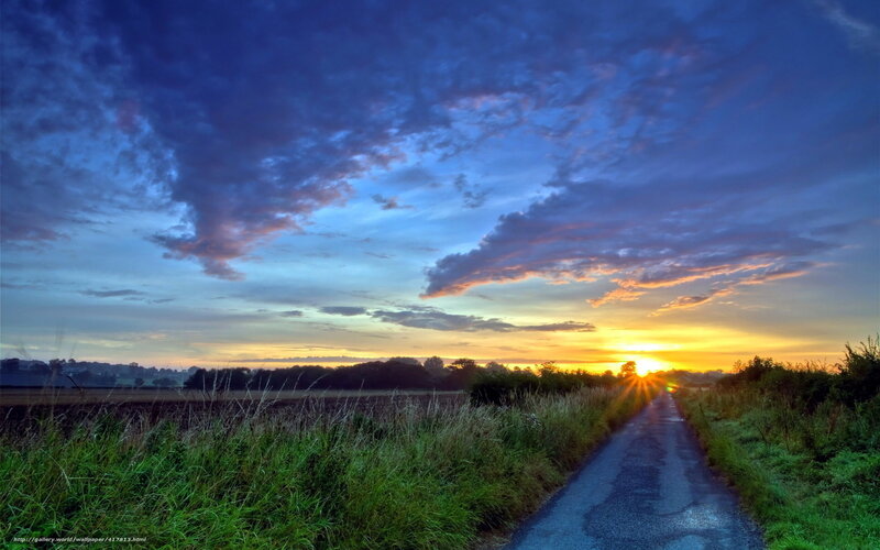 Road Leading to Sunset — Blue, Serene