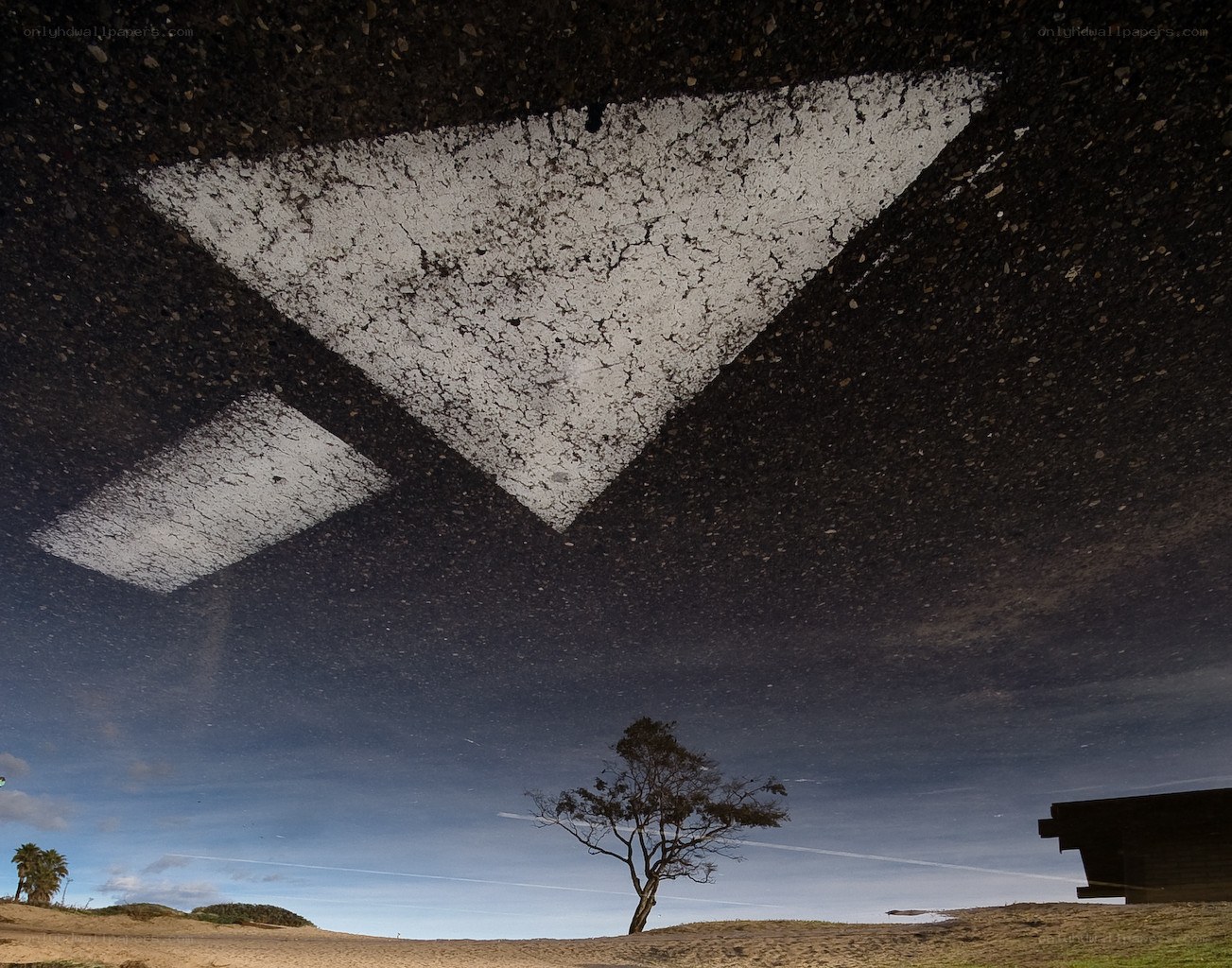 Road Markings in a Puddle