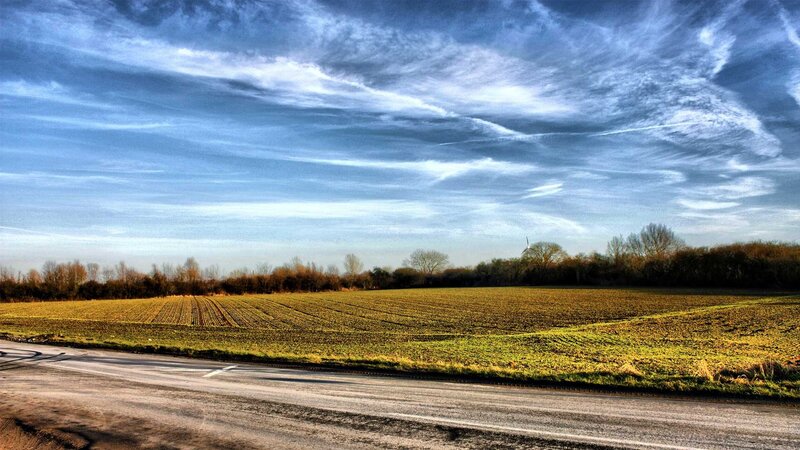 Road Next to Field — Blue