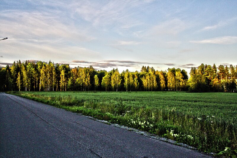 Road Next to Field