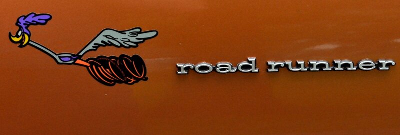 Road Runner Logo