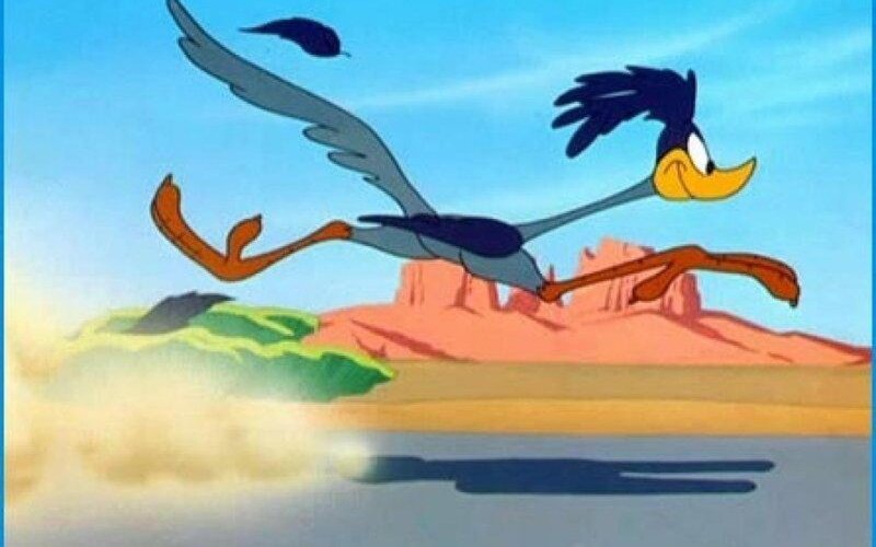 Road Runner Running