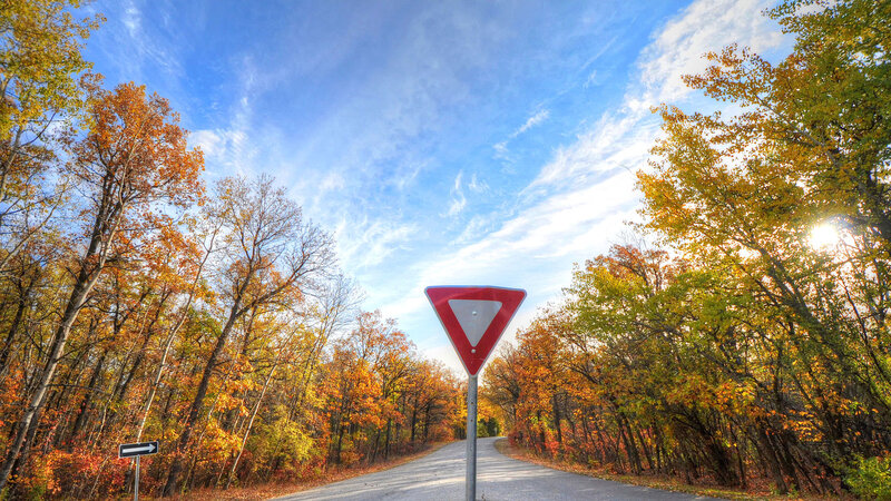 Road Sign in Autumn Forest