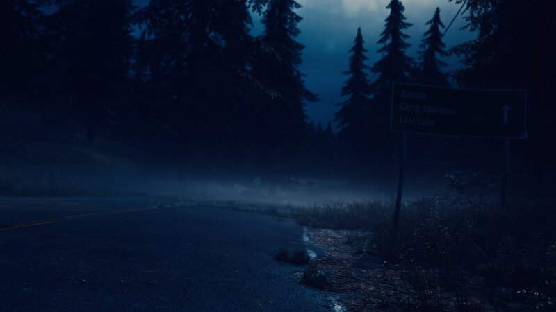 Road Sign in Forest