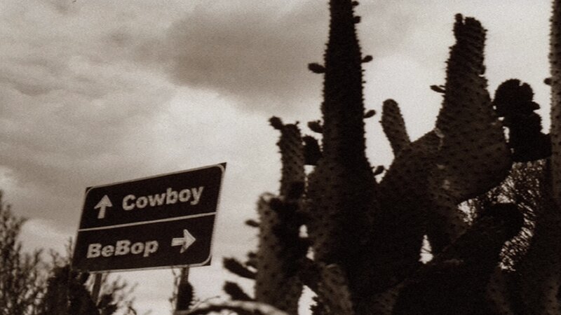 Road Sign with Cacti