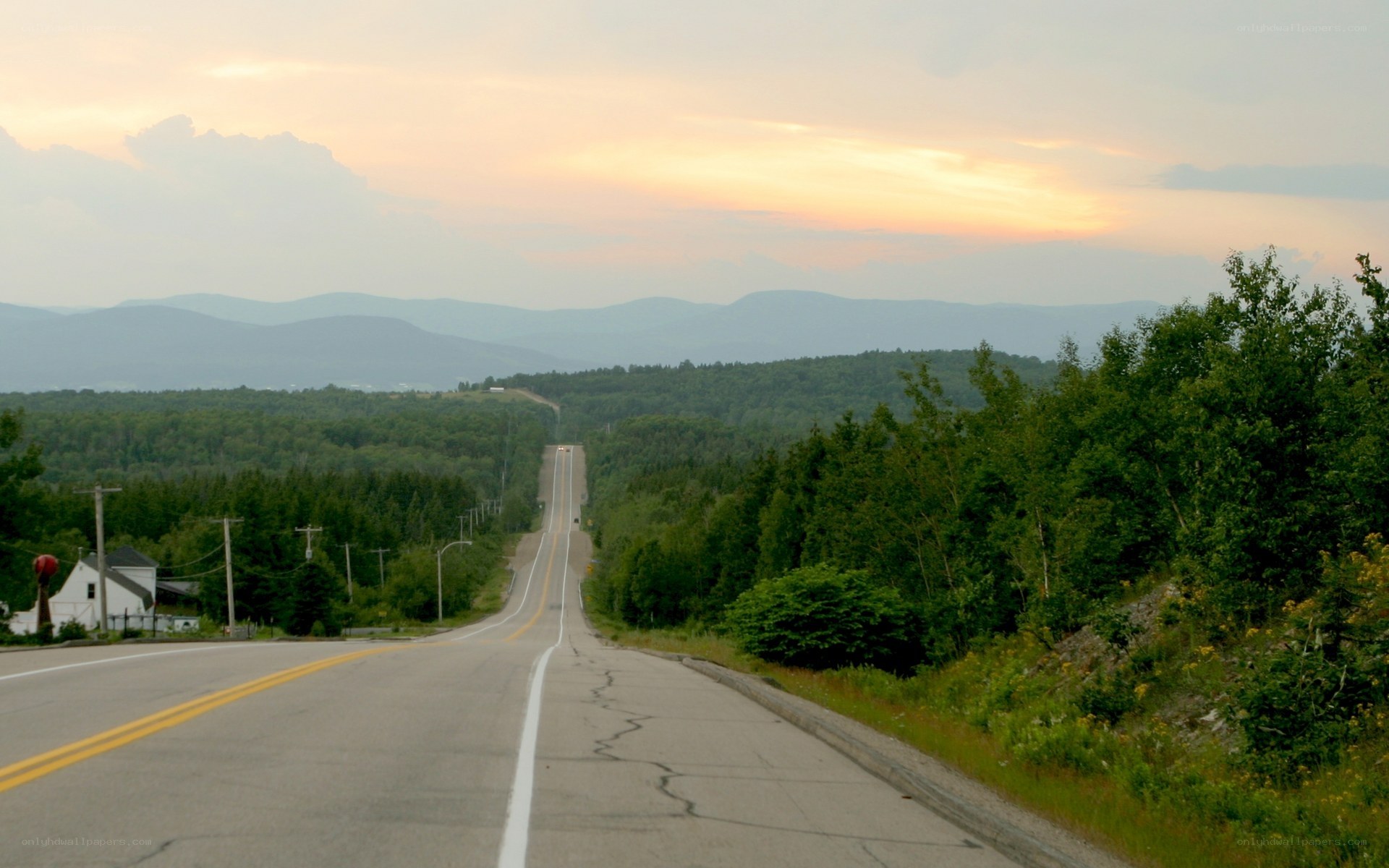 Road stretching into forested hills