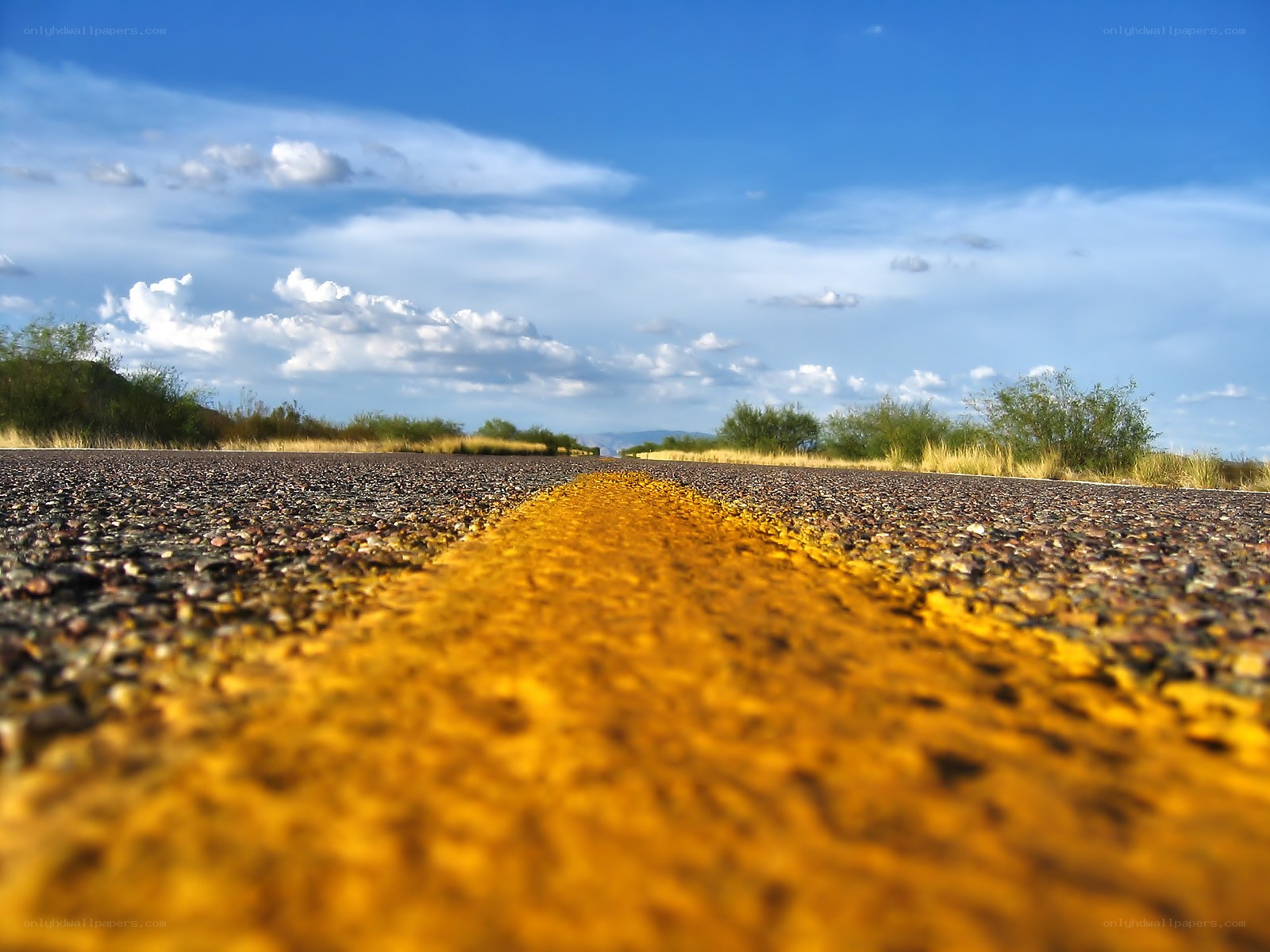 Road stretching into the horizon