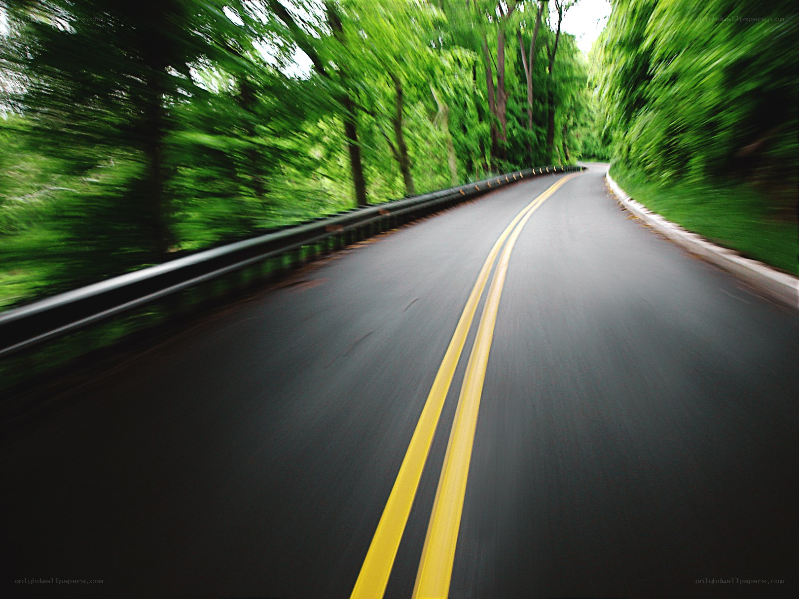 Road through a forest