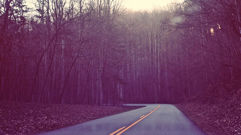 Road through a forest at dusk