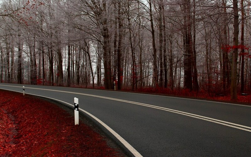 Road through a forest in autumn