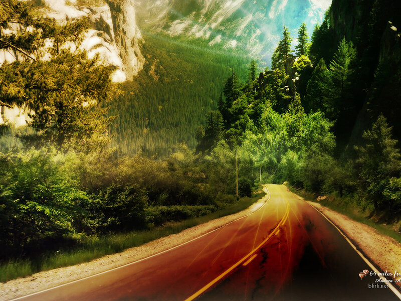 Road through a forested valley