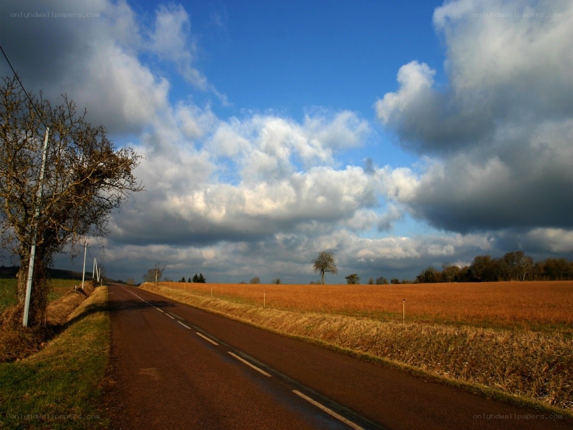 Road through a golden field