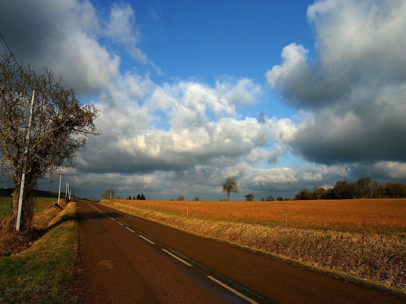 Road through a golden field
