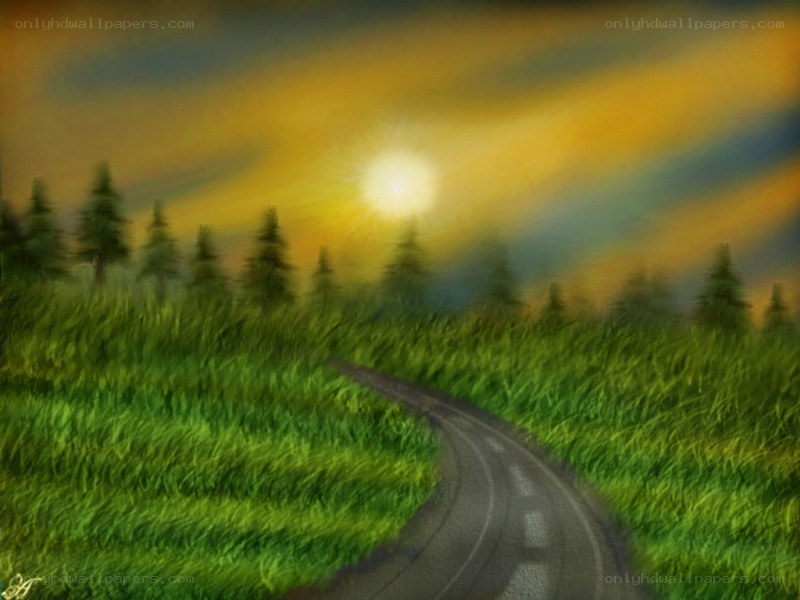 Road through a green field at sunset