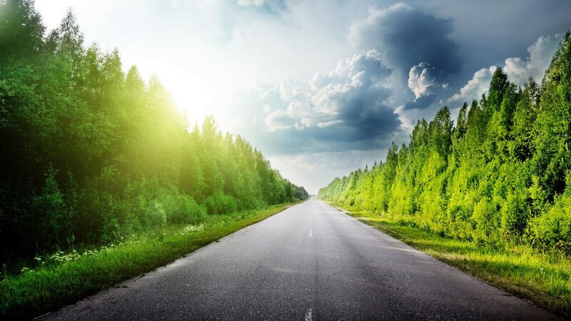 Road through a green forest