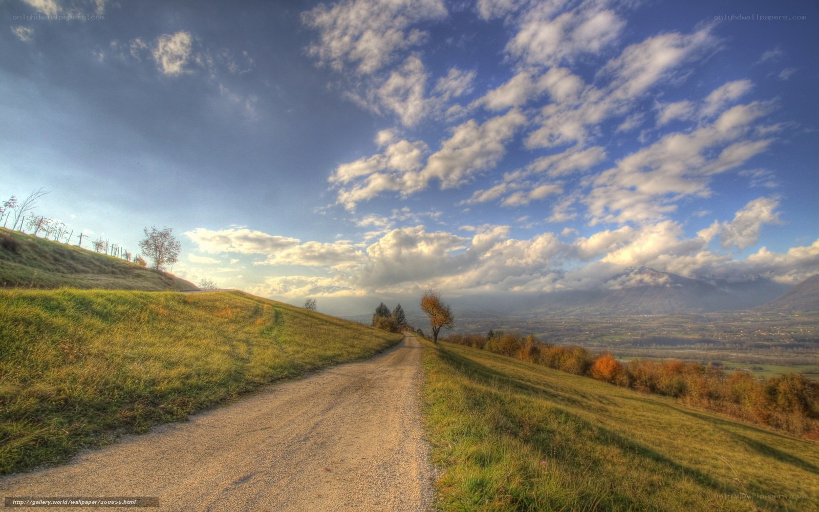 Road through a green valley