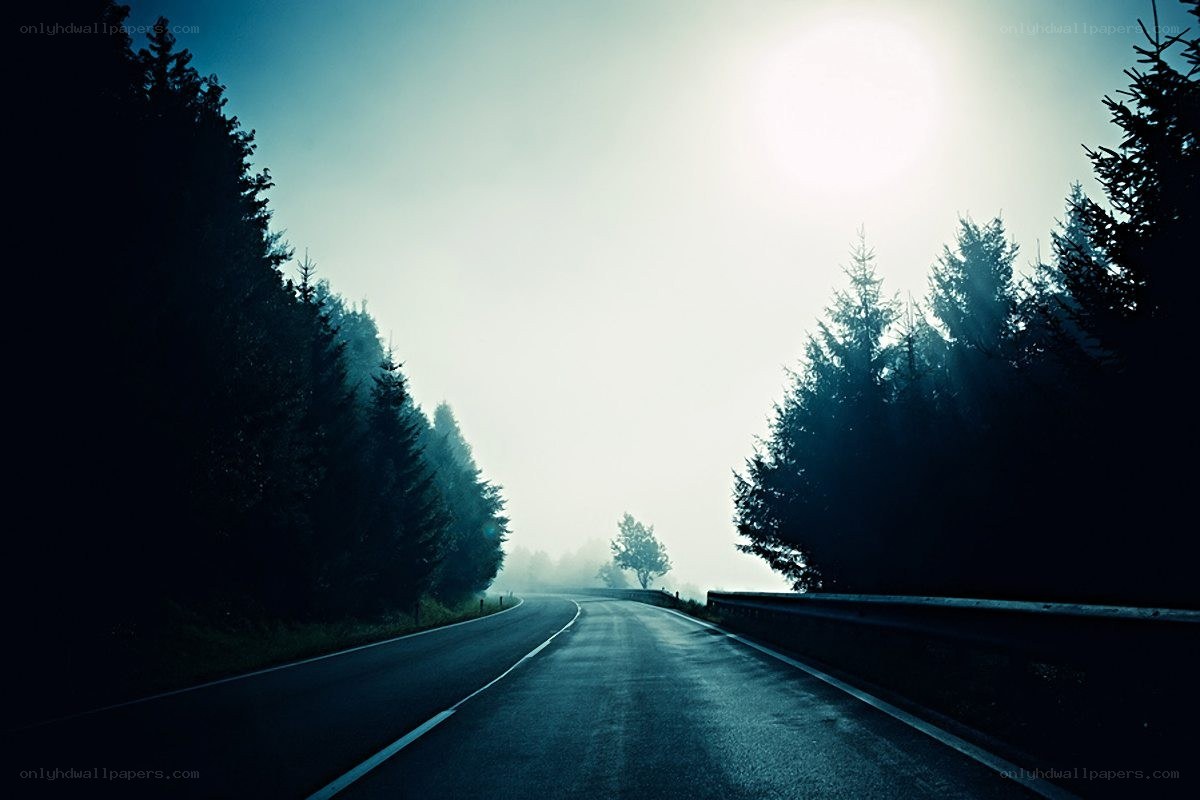Road through a misty forest