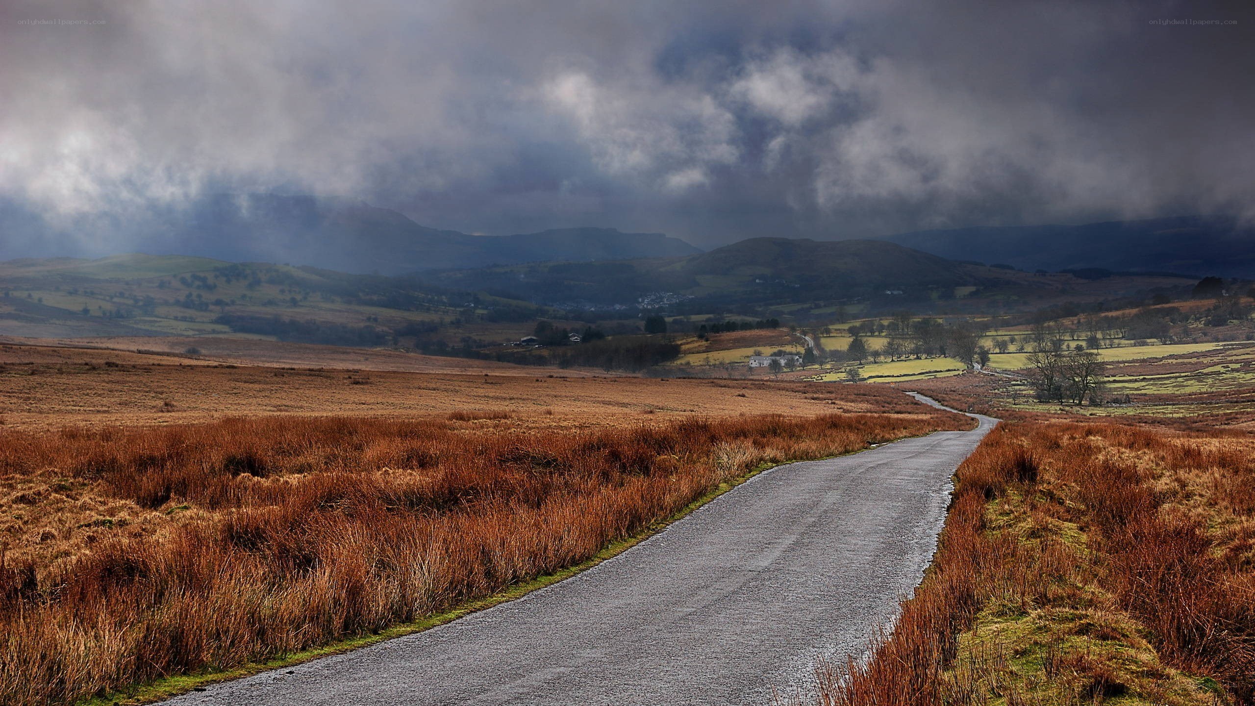 Road through a moorland landscape