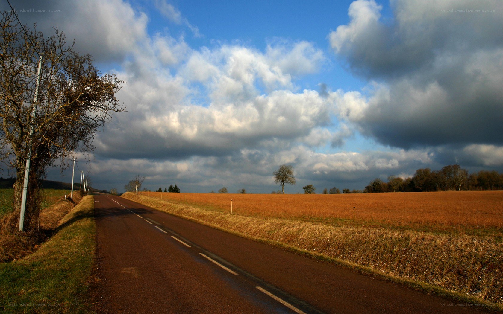 Road through a rural landscape