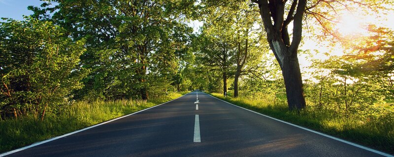 Road through a sunlit forest