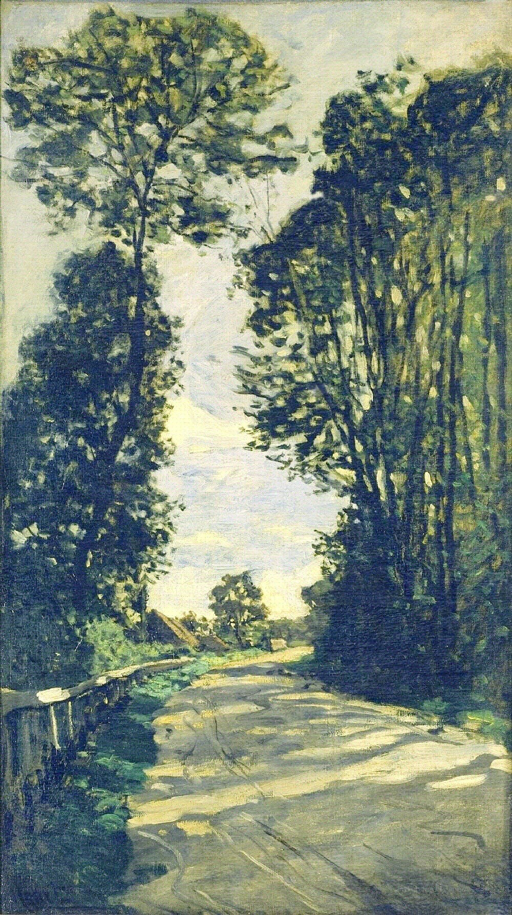Road through a wooded landscape