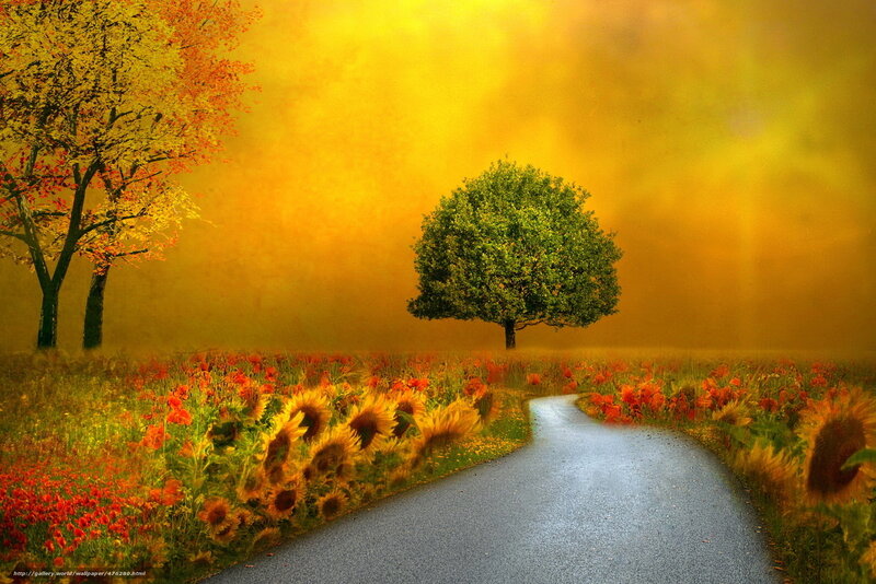 Road Through Autumn Field — Yellow