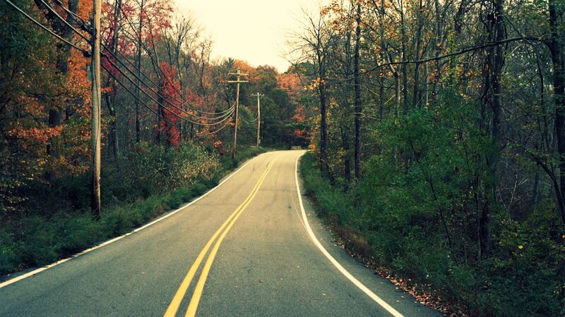 Road through autumn forest