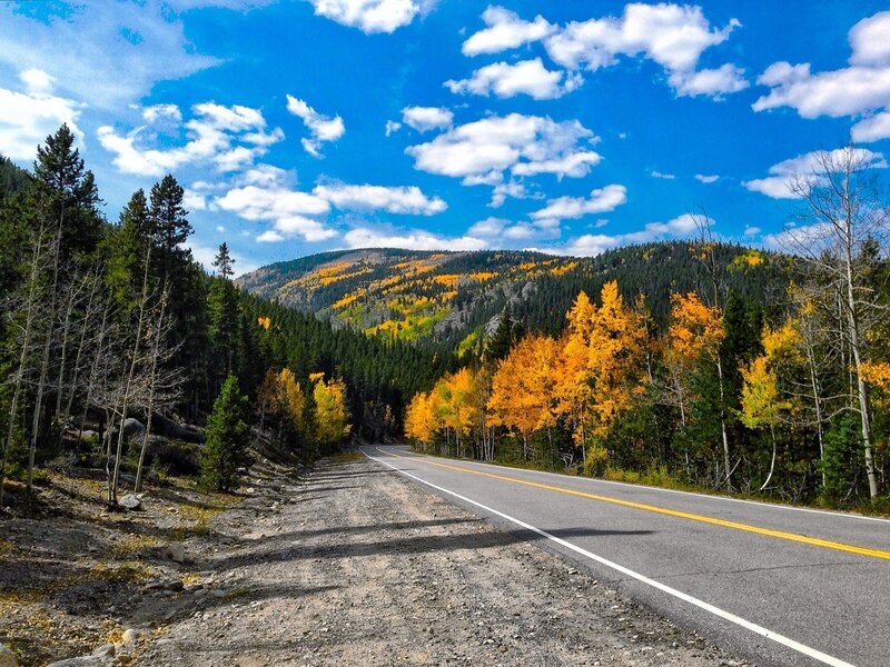 Road Through Autumn Forest — Blue, Serene, Photograph, Mountain