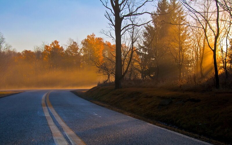 Road Through Autumn Forest — Blue, Serene