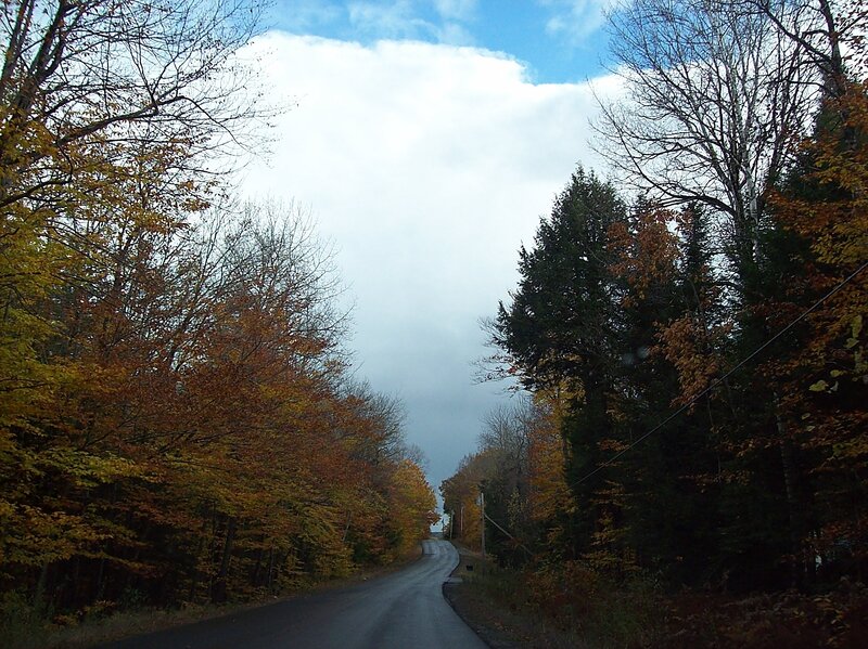 Road Through Autumn Forest — Green, Serene, Photograph