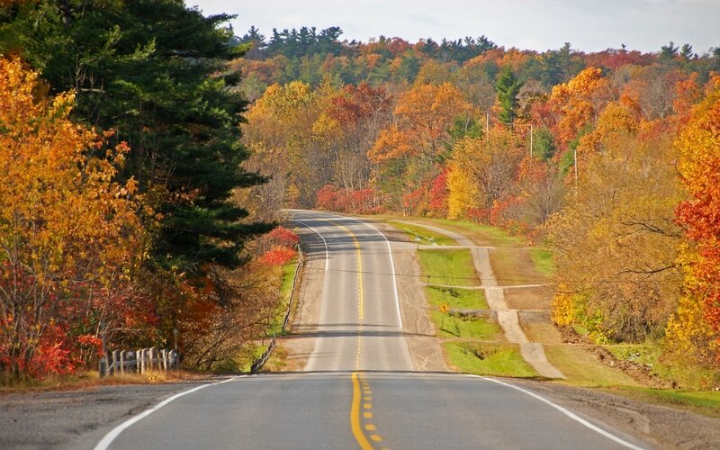 Road Through Autumn Forest — Orange, Serene, Photograph, Trees, Hills, Yellow