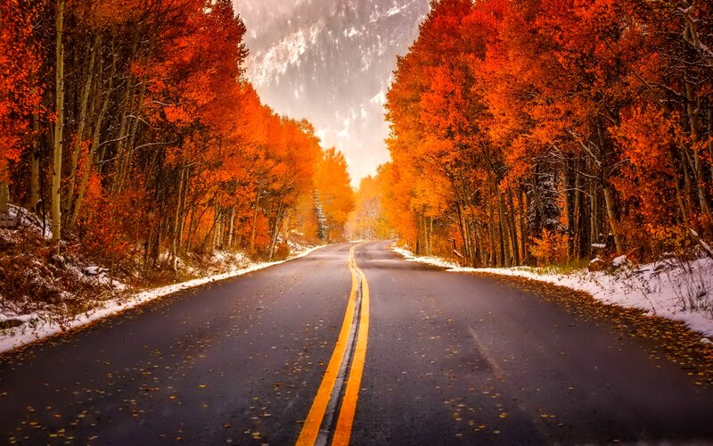 Road Through Autumn Forest — Orange, Serene, Photograph, Trees, Mountain