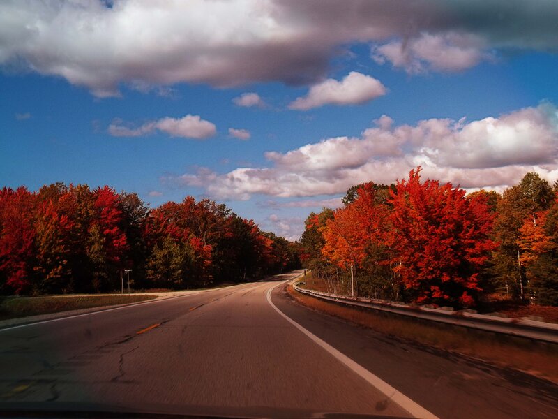 Road Through Autumn Forest — Red, Serene, Photograph, Trees, Sky
