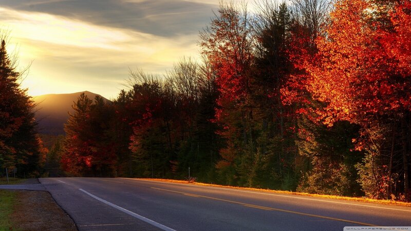 Road Through Autumn Forest — Red, Serene, Sunset, Photograph