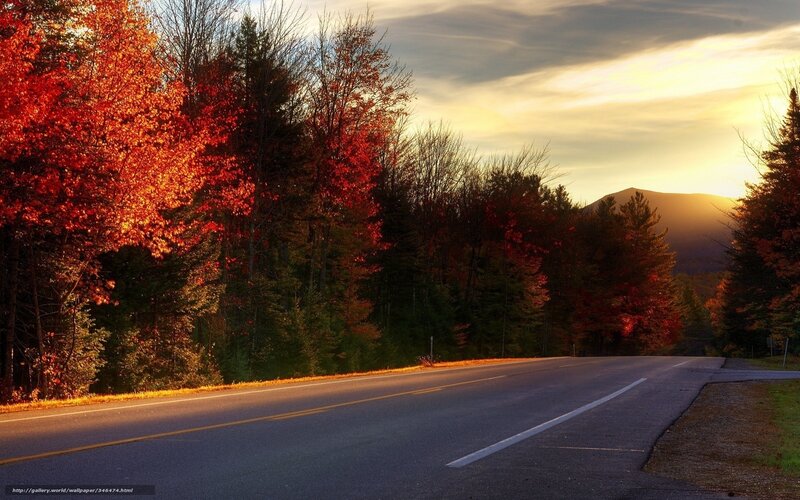 Road Through Autumn Forest — Red, Serene, Sunset, Photograph, Trees, Mountain