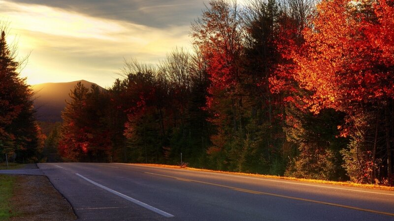 Road Through Autumn Forest — Red, Serene, Sunset, Photograph, Trees